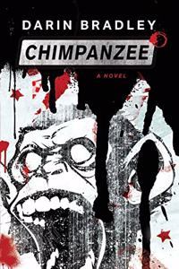 Chimpanzee