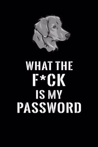 What The F*CK Is My Password, Labrador Retriver