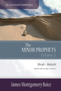 Minor Prophets: An Expositional Commentary, Volume 2