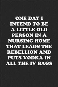 One Day I Intend to Be a Little Old Person in a Nursing Home That Leads the Rebellion and Puts Vodka in All the IV Bags