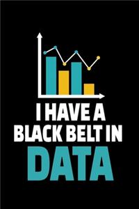 I Have A Black Belt In Data