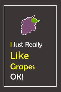 I Just Really Like Grapes, OK !: Notebook And Journal Gift - 120 pages Blank Lined Journal Notebook Planner