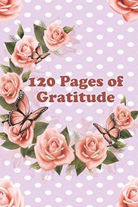 120 Pages of Gratitude