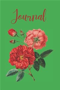 Journal