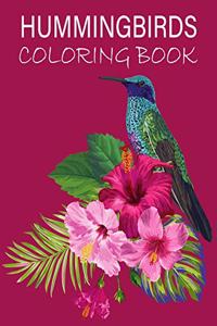 Hummingbirds Coloring Book