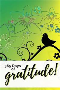 365 Days of Gratitude