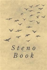 Steno Book