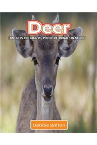 Deer: Fun Facts and Amazing Photos of Animals in Nature