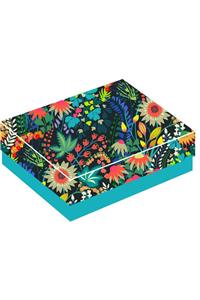 Sally Kelly: Boxed Notecard Set