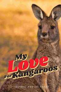 My Love for Kangaroos