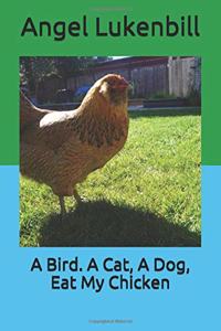 Bird. A Cat, A Dog, Eat My Chicken