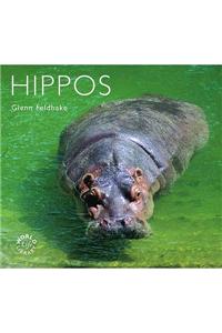 Hippos