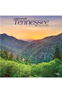 Tennessee Wild & Scenic 2020 Square