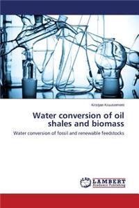 Water Conversion of Oil Shales and Biomass