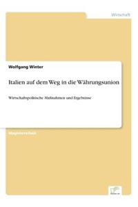 Italien auf dem Weg in die Währungsunion: Wirtschaftspolitische Maßnahmen und Ergebnisse