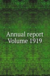 Annual report Volume 1919