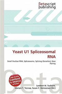 Yeast U1 Spliceosomal RNA