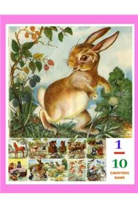 1 - 10 Counting Book