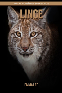 Lince