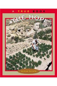 The Hopi