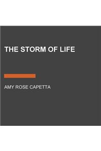 The Storm of Life