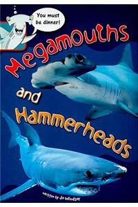 Megamouths and Hammerheads