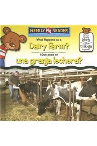 What Happens at a Dairy Farm? / ¿Qué Pasa En Una Granja Lechera?