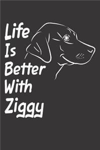 Life Is Better With Ziggy