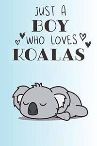 Just A Boy Who Loves Koalas