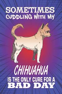 Sometimes Cuddling With My Chihuahua Is The Only Cure For A Bad Day