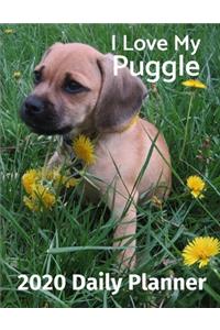 I Love My Puggle