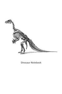 Dinosaur Notebook
