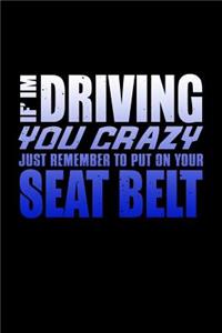 If I'm Driving You Crazy Just Remember To Put On Your Seat Belt