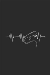 Iguana Heartbeat