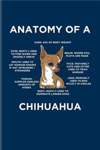 Anatomy Of A Chihuahua