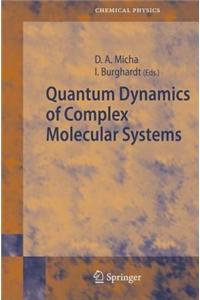 Quantum Dynamics of Complex Molecular Systems
