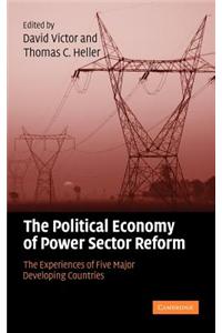 Political Economy of Power Sector Reform, The: The Experiences of Five Major Developing Countries