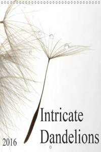 Intricate Dandelions 2016