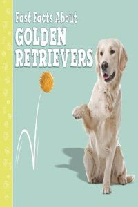 Fast Facts About Golden Retrievers