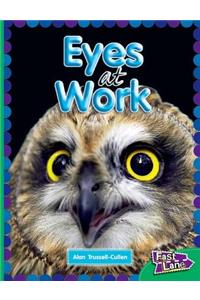 All about Eyes at Work Fast Lane Emerald Non-Fiction