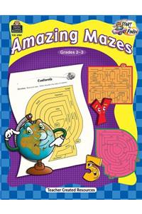 Start to Finish: Amazing Mazes Grd 2-3