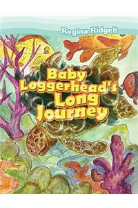 Baby Loggerhead's Long Journey