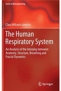 Human Respiratory System