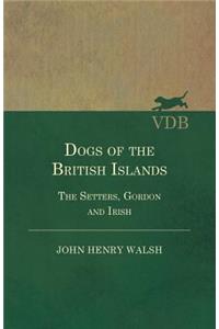 Dogs Of The British Islands. The Setters.Gordon And Irish.