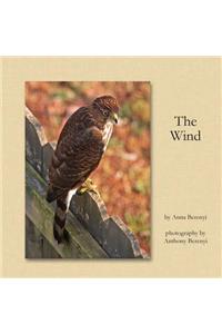 The Wind