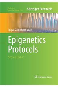 Epigenetics Protocols