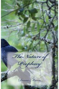 Nature of Prophecy
