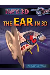 Ear in 3D