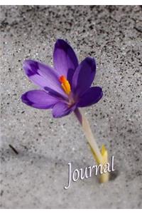 Journal