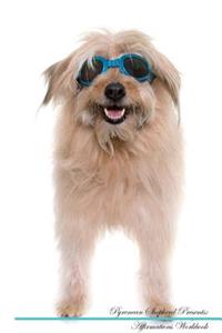 Pyrenean Shepherd Affirmations Workbook Pyrenean Shepherd Presents: Positive and Loving Affirmations Workbook. Includes: Mentoring Questions, Guidance, Supporting You.